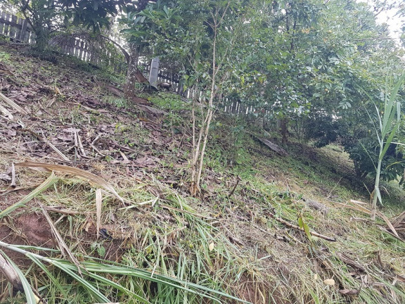 Imagem Imóvel à Venda, em Redenção Da Serra Imagem Imóvel à Venda, em Redenção Da Serra