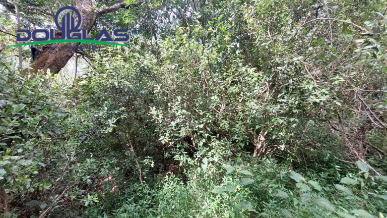 Imagem Chácara à Venda, 20.000 m² em águas Claras - Viamão Imagem Chácara à Venda, 20.000 m² em águas Claras - Viamão