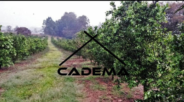 Chácara com 4 Quartos à Venda, 92 m² em Area Rural - São Gonçalo Do Sapucaí