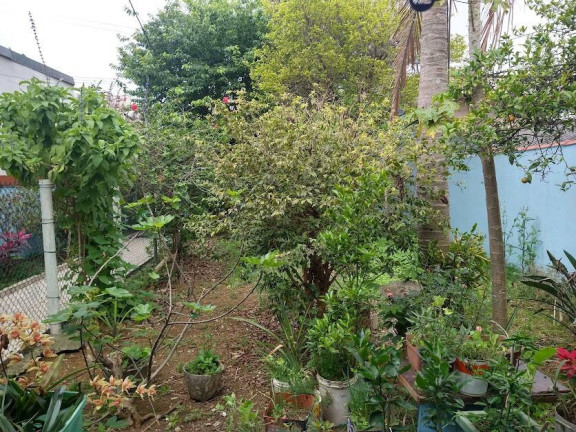 Imagem Casa com 1 Quarto à Venda, 254 m² em Jardim Ana Rosa - São Paulo Imagem Casa com 1 Quarto à Venda, 254 m² em Jardim Ana Rosa - São Paulo