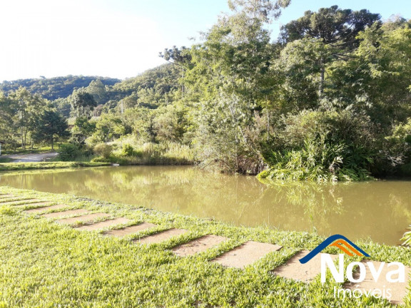 Imagem Imóvel à Venda, 110.000 m² em Linha Brasil - Nova Petrópolis Imagem Imóvel à Venda, 110.000 m² em Linha Brasil - Nova Petrópolis