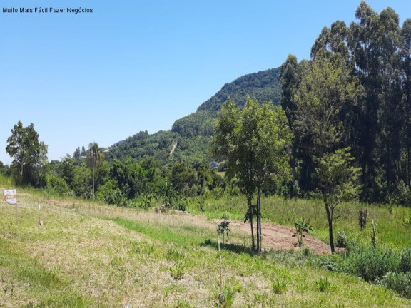 Imagem Terreno à Venda, 6.942 m² em Picada Café - Picada Café