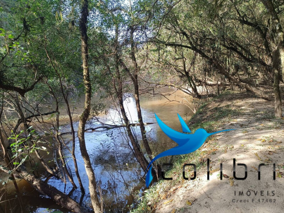 Imagem Chácara com 4 Quartos à Venda, 5.897 m² em Leão - Agudos Do Sul