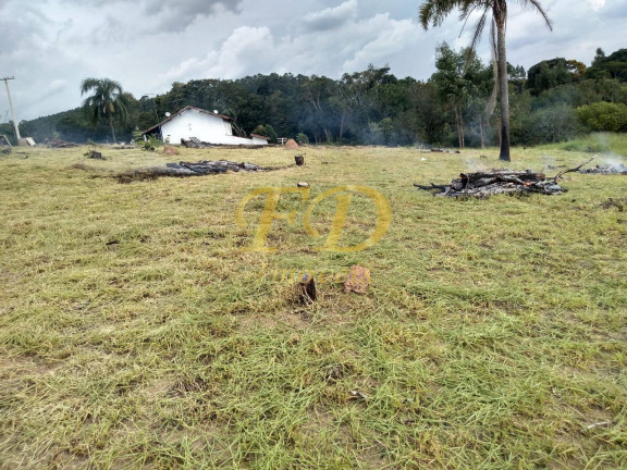 Imagem Chácara com 6 Quartos à Venda, 40.000 m² em Não Especificado - Jarinu Imagem Chácara com 6 Quartos à Venda, 40.000 m² em Não Especificado - Jarinu