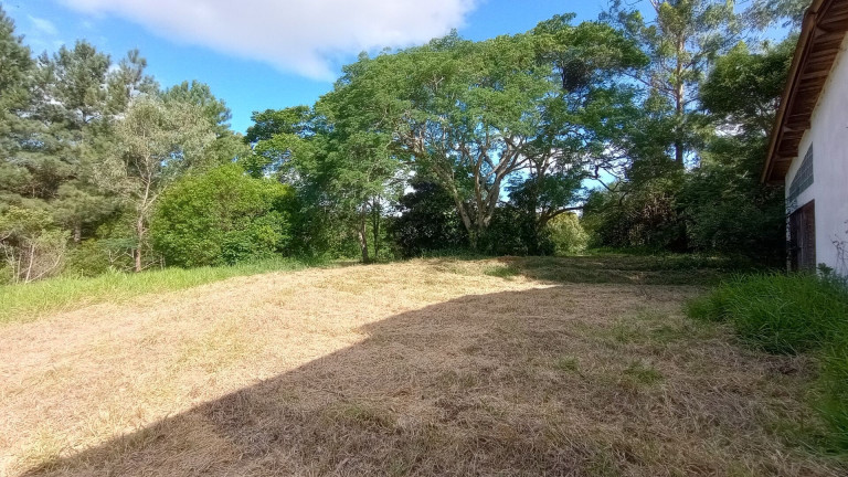 Imagem Imóvel com 2 Quartos à Venda, 28.600 m² em Passo Da Areia - Viamão