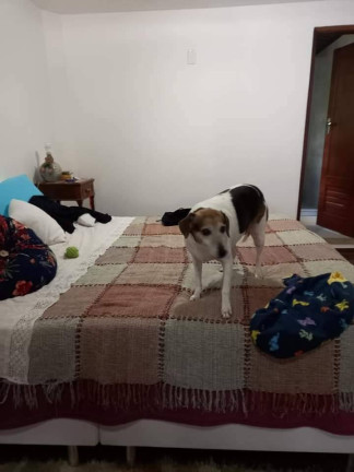 Imagem Casa com 4 Quartos à Venda,  em Vale Dos Pinheiros - Nova Friburgo