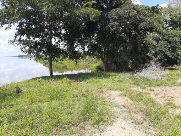 Imagem Fazenda à Venda, 532 m² em Rural - Juarina Imagem Fazenda à Venda, 532 m² em Rural - Juarina