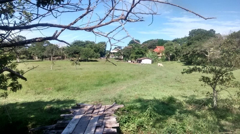 Imagem Chácara à Venda, 4.800 m² em São João Do Rio Vermelho - Florianópolis Imagem Chácara à Venda, 4.800 m² em São João Do Rio Vermelho - Florianópolis