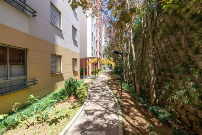 Imagem Apartamento com 2 Quartos à Venda, 48 m² em Fazenda Morumbi - São Paulo