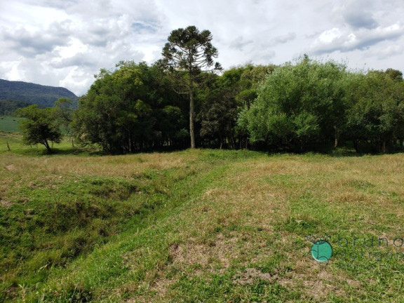 Imagem Imóvel à Venda, em Interior - Bom Retiro Imagem Imóvel à Venda, em Interior - Bom Retiro