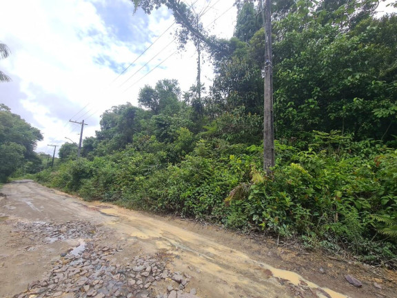 Imagem Terreno à Venda, 100 m² em Tarumã-açu - Manaus Imagem Terreno à Venda, 100 m² em Tarumã-açu - Manaus