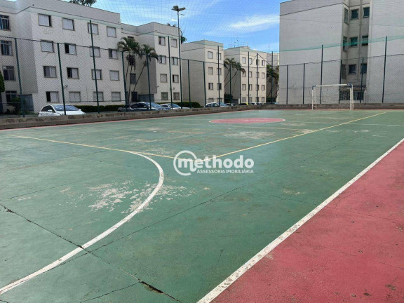 Imagem Apartamento com 2 Quartos à Venda, 55 m² em Jardim Miranda - Campinas Imagem Apartamento com 2 Quartos à Venda, 55 m² em Jardim Miranda - Campinas