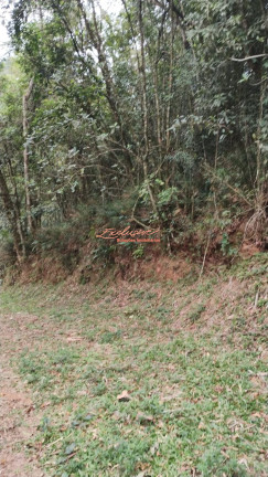 Imagem Chácara à Venda, 2.100 m²
