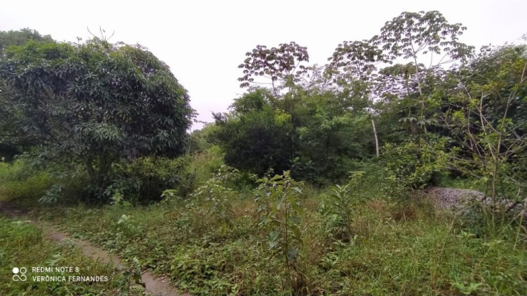 Imagem Terreno à Venda, 5.000 m² em Aldeia Dos Camarás - Camaragibe Imagem Terreno à Venda, 5.000 m² em Aldeia Dos Camarás - Camaragibe