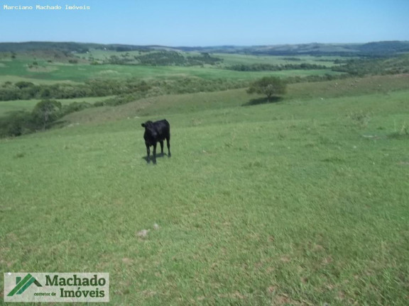 Imagem Imóvel à Venda, 200.000 m² em Rural - São Sepé Imagem Imóvel à Venda, 200.000 m² em Rural - São Sepé
