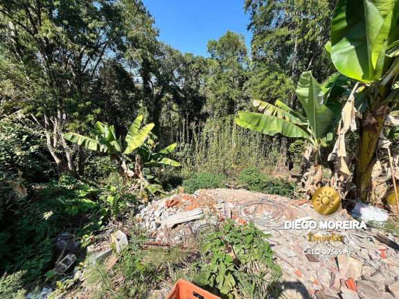 Imagem Terreno à Venda, 1.532 m² em Terra Preta - Mairiporã