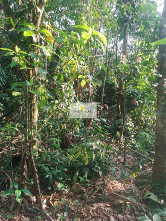 Imagem Terreno à Venda, 1.700 m² em Boiçucanga - São Sebastião Imagem Terreno à Venda, 1.700 m² em Boiçucanga - São Sebastião