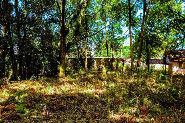 Imagem Terreno à Venda, 2.189 m² em Pinheirinho - Curitiba