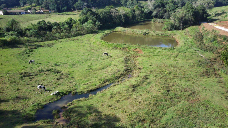 Imagem Terreno à Venda, 170.000 m² em Interior - Concórdia Imagem Terreno à Venda, 170.000 m² em Interior - Concórdia