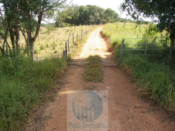 Imagem Imóvel com 3 Quartos à Venda, 302.500 m² em Zona Rural - Jacui