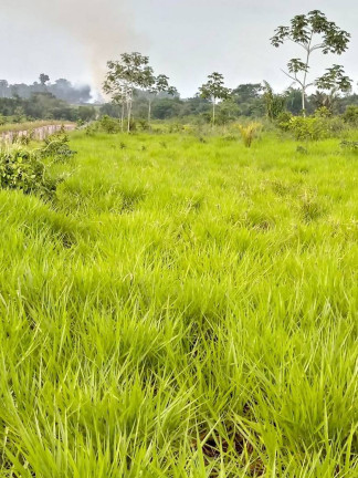 Imagem Fazenda à Venda, 101 m² em Aripuanã Imagem Fazenda à Venda, 101 m² em Aripuanã