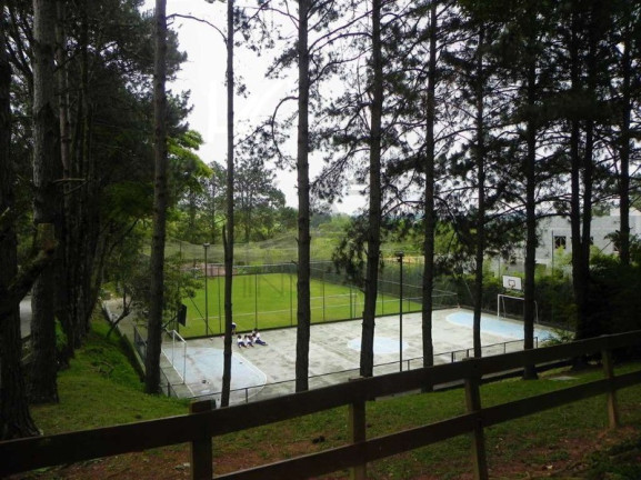 Imagem Imóvel com 4 Quartos para Alugar, 350 m² em Jardim Das Flores - Cotia Imagem Imóvel com 4 Quartos para Alugar, 350 m² em Jardim Das Flores - Cotia