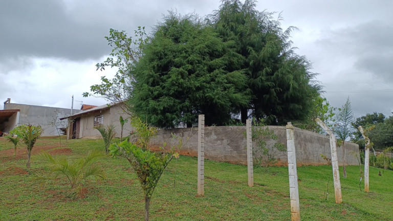 Imagem Fazenda à Venda, em Centro - Contenda Imagem Fazenda à Venda, em Centro - Contenda