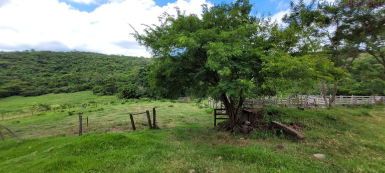 Imagem Imóvel à Venda, 290.400 m² em Amizade - Jandaia Do Sul Imagem Imóvel à Venda, 290.400 m² em Amizade - Jandaia Do Sul