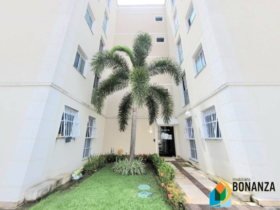 Imagem Apartamento com 2 Quartos à Venda, 44 m² em Novo Mondubim - Fortaleza Imagem Apartamento com 2 Quartos à Venda, 44 m² em Novo Mondubim - Fortaleza