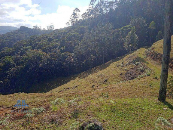 Imagem Terreno à Venda, 20.004 m² em Centro - São Pedro De Alcântara