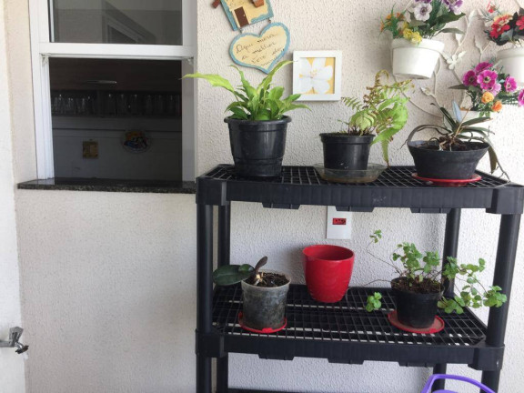 Imagem Apartamento com 2 Quartos à Venda, 72 m² em Chácara Inglesa - São Paulo Imagem Apartamento com 2 Quartos à Venda, 72 m² em Chácara Inglesa - São Paulo