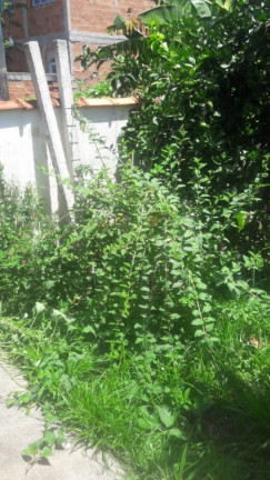 Imagem Imóvel com 2 Quartos à Venda, 80 m² em Campo Grande - Rio De Janeiro