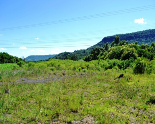 Imagem Imóvel à Venda, 36.094 m² em Linha Araripe - Nova Petrópolis