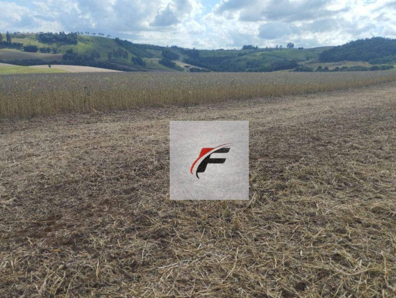 Fazenda à Venda, 3.775.200 m² em Centro - Pitanga