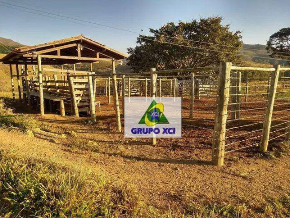 Imagem Fazenda à Venda, 5.591.652 m² em Fazenda Cachoeira - Ilicínea