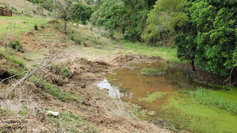 Imagem Imóvel à Venda, 10 m² em Sitio Capituvas - Bandeira Do Sul