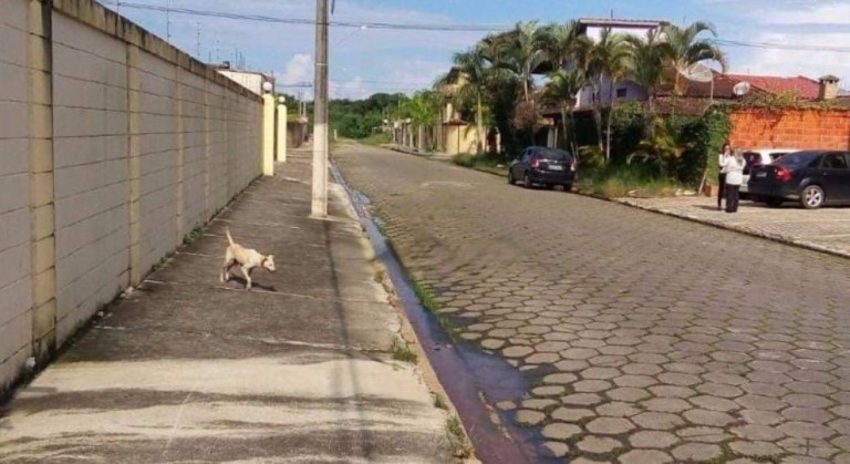 Imagem Sobrado com 2 Quartos à Venda, 100 m² em Cibratel Ii - Itanhaém Imagem Sobrado com 2 Quartos à Venda, 100 m² em Cibratel Ii - Itanhaém