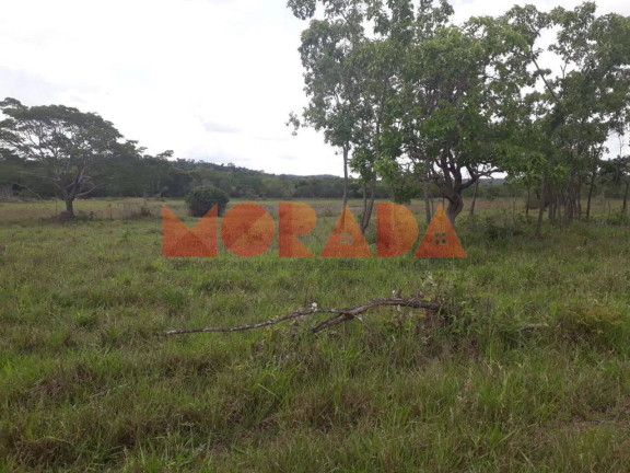 Imagem Fazenda à Venda, 10 m² em Zona Rural - Mundo Novo Imagem Fazenda à Venda, 10 m² em Zona Rural - Mundo Novo
