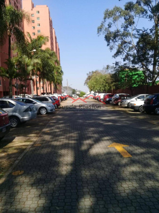 Imagem Apartamento com 3 Quartos à Venda, 64 m² em Vila Do Castelo - São Paulo