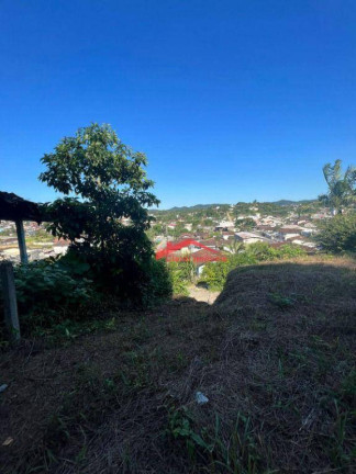 Imagem Terreno à Venda, 442 m² em Itaum - Joinville