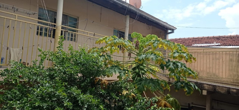 Imagem Casa com 4 Quartos à Venda, 250 m² em Jardim Satélite - São José Dos Campos Imagem Casa com 4 Quartos à Venda, 250 m² em Jardim Satélite - São José Dos Campos