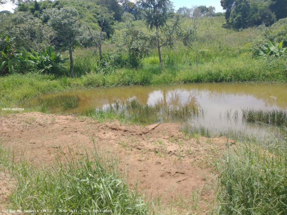 Imagem Chácara com 1 Quarto à Venda, 2.400 m² em Rio Verde - Caldas