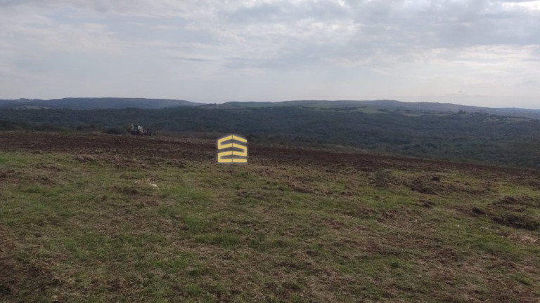 Imóvel com 2 Quartos à Venda, 950.000 m² em Centro - Pinheiro Machado