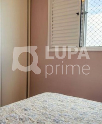 Imagem Apartamento com 3 Quartos à Venda, 62 m² em Vila Guilherme - São Paulo Imagem Apartamento com 3 Quartos à Venda, 62 m² em Vila Guilherme - São Paulo