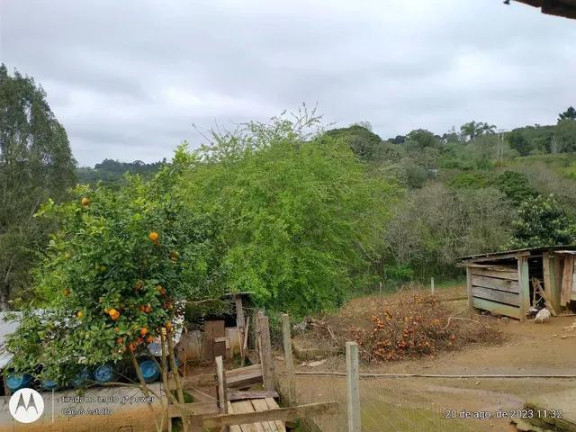Imagem Imóvel com 4 Quartos à Venda, 22.000 m² em Areia Branca Dos Assis - Mandirituba