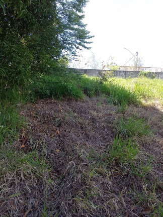 Imagem Terreno à Venda, 2.000 m² em Virgem Santa - Macaé Imagem Terreno à Venda, 2.000 m² em Virgem Santa - Macaé