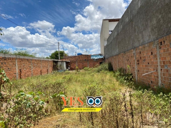 Imagem Terreno à Venda, 300 m² em Papagaio - Feira De Santana Imagem Terreno à Venda, 300 m² em Papagaio - Feira De Santana