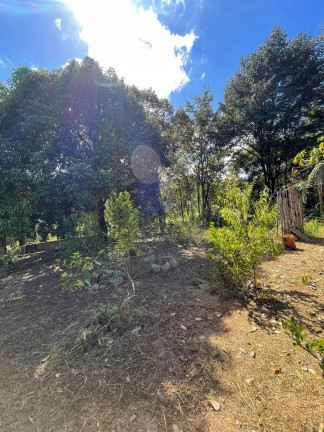 Imagem Chácara com 2 Quartos à Venda, 7.800 m² em Quintas Da Capela Nova - Itatiaiuçu