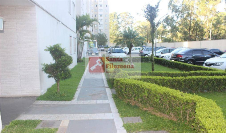 Imagem Apartamento com 2 Quartos à Venda, 45 m² em Jardim Santa Terezinha (zona Leste) - São Paulo Imagem Apartamento com 2 Quartos à Venda, 45 m² em Jardim Santa Terezinha (zona Leste) - São Paulo
