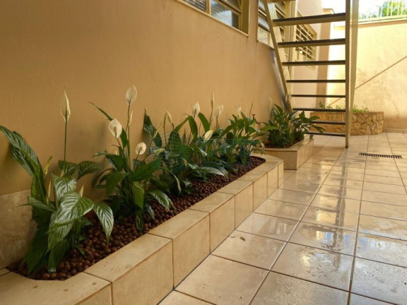 Imagem Casa à Venda, em Vila Mariana - Ribeirão Preto Imagem Casa à Venda, em Vila Mariana - Ribeirão Preto